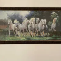 دو عدد تابلو دیواری