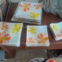 ظروف ده نفره