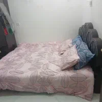 تخت دونفره .تخت خواب|تخت و سرویس خواب|تربت جام, مسکن مهر|دیوار