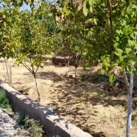 خدمات سیار باغبانی وتمام امورات باغ و باغ شهری|خدمات باغبانی و درختکاری|شیراز, شهرک مدرس|دیوار