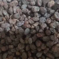 کشمش|خوردنی و آشامیدنی|پاکدشت, پاکدشت (مامازند)|دیوار