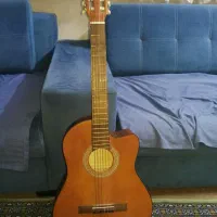گیتار  ایرانی