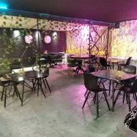 فراخوان گرداننده مافیا کافه