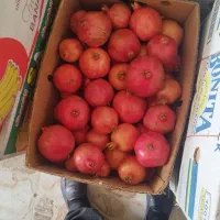 انار مخصوص شب یلدا