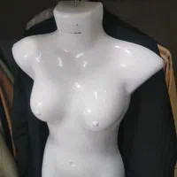 مانکن زنانه، رگال|فروشگاه و مغازه|کرمانشاه, |دیوار