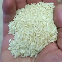 برنج عنبر بو