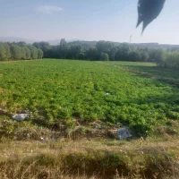 فروش زمین زراعی در شهرستان نیر