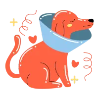 تکنسین دامپزشکی