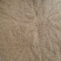 برنج هاشمب پدربابایی