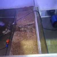 اکواریوم اب شور در حال کار کاملا سالم همراه ماهی|ماهی|تهران, صاحب الزمان|دیوار