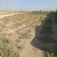 فروش ۴۲۷۰متری زمین کشاورزی روستای تجره|فروش زمین و ملک کلنگی|جوادآباد, |دیوار