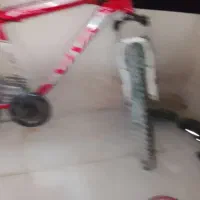 دوچرخه ویوا اصلی|دوچرخه، اسکیت، اسکوتر|مریوان, |دیوار