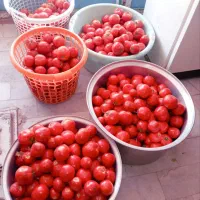 بازی هوشی،|اسباب‌بازی بچه|قزوین, |دیوار