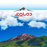 راننده ایسوزو ۶تن