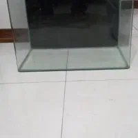 اکواریوم