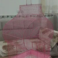 قفس سهره قناری|لوازم جانبی حیوانات|رباط‌کریم, شترخوار|دیوار