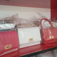 کیف زنانه به صورت یکجا|کیف، کفش، کمربند|محمدشهر, سیدآباد|دیوار