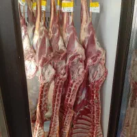 فروش ویژه گوشت بره و گوسفندی