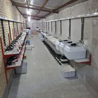 دستگاه جوجه کشی 48 تایی ایزی باتور  1 اسکندری|لوازم جانبی حیوانات|بجنورد, |دیوار