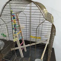 قفس طوطی یا عروس هلندی|لوازم جانبی حیوانات|پردیس, فاز ۱۱|دیوار