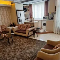 خوراک سرمایه گذاری/سود لحظه ای/وام بستگان درجه۱