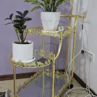 میزبار چشم دربیار|میز و صندلی غذاخوری|گلبهار, شهر جدید گلبهار|دیوار