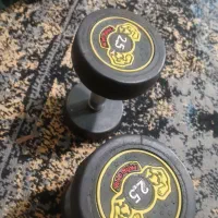 دوعدد دمبل ۲ونیم کیلویی نو نو|تجهیزات ورزشی|اصفهان, شهید رجایی|دیوار