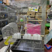 انواع قفس و ملزومات پرندگان|لوازم جانبی حیوانات|میاندوآب, |دیوار