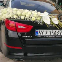 اجاره کرایه باندرقص نورظرف فینگرصندلی بادکنک آرایی|خدمات پذیرایی، مراسم|اصفهان, همدانیان|دیوار