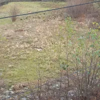 زمین-فروشی-در-شهر-کجور