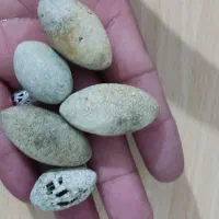 نگین اصلی و کهنه خ ر م ه  ره