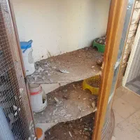 قفس پرنده|لوازم جانبی حیوانات|تربت جام, والفجر|دیوار