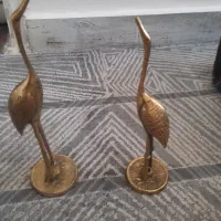 دلفین و دوعدد لک لک