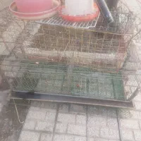 هرقیمت میخایی بیا ببر فقط میخام برن