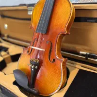 Violin Washburn