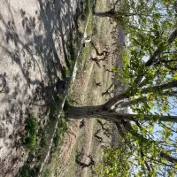 قطعات ۲۰۰ ۲۲۰ متری