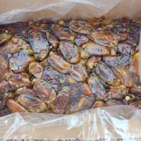 خرمای شاهانی خونگی