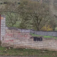 زمین 258 متری در وازک رویان(قابل معاوضه با خودرو)|فروش زمین و ملک کلنگی|رویان, |دیوار