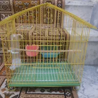 قفس کوچک پرنده