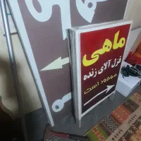 مرغ فروشی|فروشگاه و مغازه|رضوانشهر, |دیوار