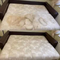 مبلشویی در منزل / مبل شویی در محل / مبل شوی تضمینی|خدمات نظافت|بندرعباس, |دیوار