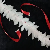 کمر عروس|کیف، کفش، کمربند|مراغه, |دیوار