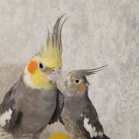 جفت عروس هلندی سینامون کارداده کینگ سایز|پرنده|شیراز, گلشن|دیوار