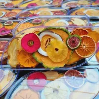 محصولات فریزداریر(بستنی خشک میوه خشک)