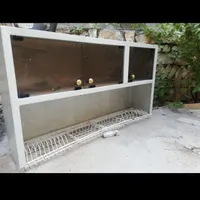 اابچکان در حد نو
