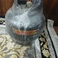 پیک نیک دو کیلویی