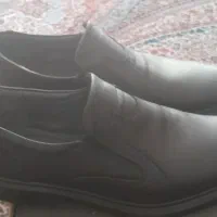 کفش مردانه|کیف، کفش، کمربند|نهاوند, |دیوار
