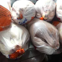 کارگر برای مرغ و ماهی فروشی