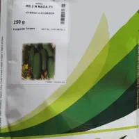 بذر خیار خیارشوری