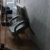 ۲ عدد صندلی انتظار|صندلی و نیمکت|دورود, |دیوار